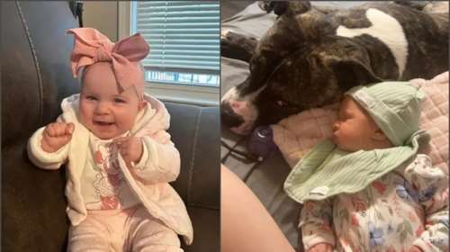 Σε σοκ η μητέρα βρέφους από το Οχάιο: Πίτμπουλ της οικογένειας κατασπάραξε 7 μηνών κοριτσάκι - &quot;Δεν θα καταλάβω ποτέ γιατί!&quot;