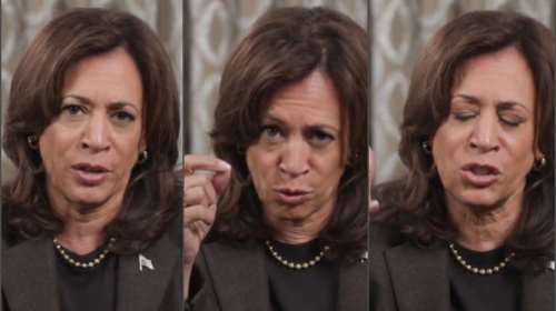 Πάρτι στα social με την Κάμαλα Χάρις για το πρώτο βίντεο μετά τη βαριά ήττα από τον Τραμπ: &quot;Μήπως είναι πιωμένη;&quot;