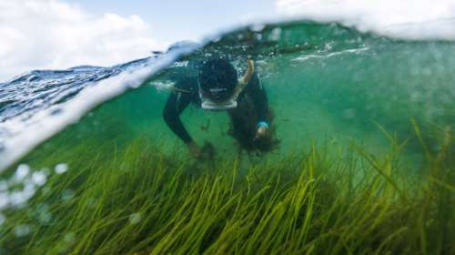 Έφτασε η "Ημέρα της Υπέρβασης" που ο πλανήτης ξεπέρασε τα όριά του: Μέχρι τις 31 Δεκεμβρίου θα ζήσουμε με δανεικά