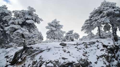 Στα &quot;λευκά&quot; Πάρνηθα και Πεντέλη - Πολύ χαμηλές θερμοκρασίες και τσουχτερό κρύο [βίντεο]