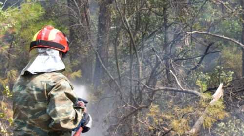 Τραγωδία στη Θεσσαλονίκη: Νεκρός πυροσβέστης στη φωτιά στο Ωραιόκαστρο - Υπέστη ανακοπή καρδιάς