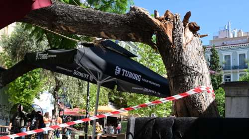 Αυτόπτης μάρτυρας για πτώση δέντρου: &quot;Πήραν αιμόφυρτη τη γυναίκα&quot; - &quot;Οφείλεται στους ισχυρούς ανέμους&quot;, λέει ο δήμος Αθηναίων