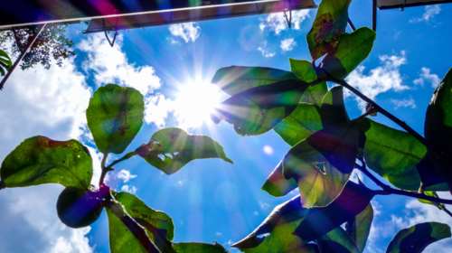 Καιρός: Πότε κοπάζουν οι άνεμοι και ανεβαίνει η θερμοκρασία - Η πρόγνωση για το Σαββατοκύριακο