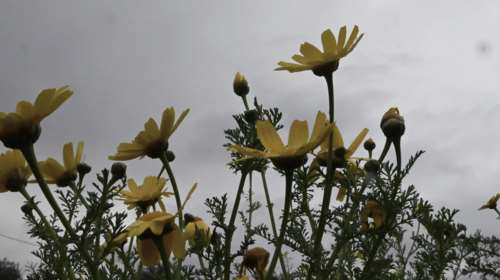 Αστατος ο καιρός μέχρι το Μεγάλο Σάββατο - Ανάσταση με βροχές, αλλάζει το σκηνικό την Κυριακή του Πάσχα