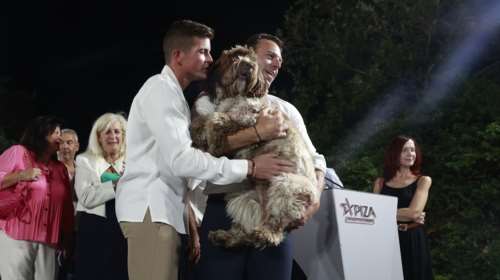 Η σκυλίτσα του Στέφανου Κασσελάκη τον... "βγάζει βόλτα": Ανυπόμονη στην καθημερινή της ρουτίνα η Farlie