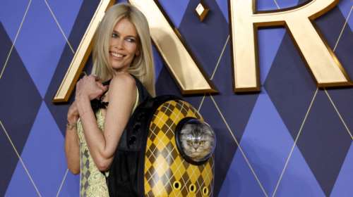 Ένας σταρ που τον λένε Chip: Η αγαπημένη γάτα της Κλόντια Σίφερ έκλεψε την παράσταση