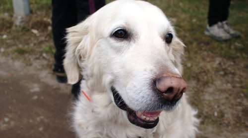 EQUILIBRIO: Super Premium Petfood για όλα τα στάδια της ζωής του κατοικιδίου