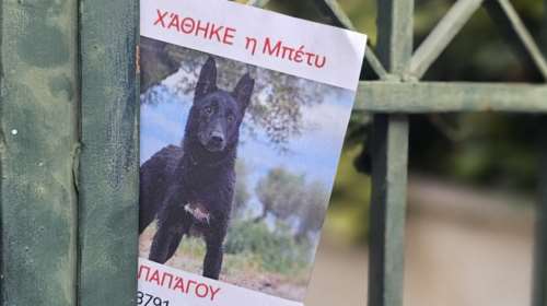 Η Μπέτυ κυκλοφορεί Παπάγου χαμηλά, μεταξύ της Κατεχάκη και του ρέματος - 6936533791  6932345777