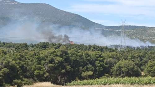Βελτιωμένη η εικόνα από την φωτιά στη Ριτσώνα - Συνελήφθη 28χρονος [εικόνες-βίντεο]
