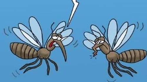 Αρκάς: Πώς οι πολιτικοί εξολοθρεύουν και τα... κουνούπια - Το καυστικό σκίτσο