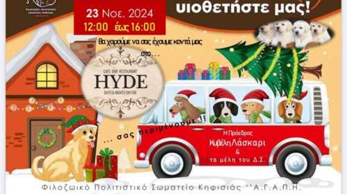 Με οδηγό την αγάπη στην Κηφισιά: Ημερα υιοθεσίας αδέσποτων ζώων το Σάββατο 23 Νοεμβρίου