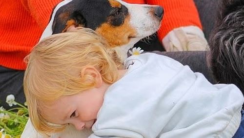 Ζάκυνθος: &quot;Μία δαγκωνιά του έκανε και τον άφησε - Το γνώριζε το σκυλί, το είχε χαϊδέψει, είχαν παίξει&quot;