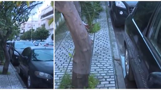 Ελευσίνα: "Πέθανε μέσα σε τρία λεπτά, τη βρήκε κλαδί στον λαιμό" - Η ανατριχιαστική περιγραφή για την 72χρονη