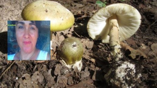 Έδεσσα: Δίνει σκληρή μάχη το ζευγάρι που δηλητηριάστηκε από μανιτάρια – Η ανάρτηση του γιου τους