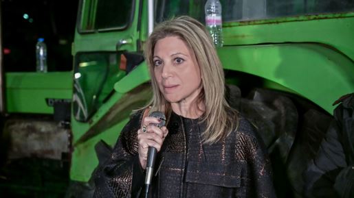 Καρυστιανού για Χίο: Το κράτος δεν αποτρέπει τις παράνομες εισβολές - Σημαντική η διαφύλαξη των δικαιωμάτων της χώρας