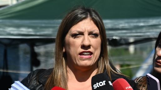 Τι συμβαίνει με την Πλεύση Ελευθερίας και τη Ζωή; Γιατί της φεύγουν οι βουλευτές, ο ένας μετά τον άλλο;