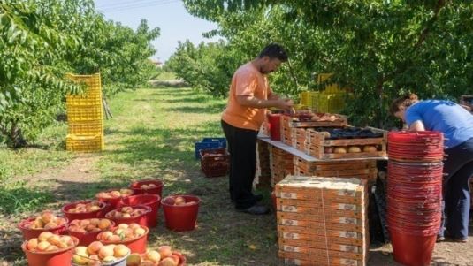 Συμφωνία ΕΕ - Mercosur: Τι σημαίνει για τα ελληνικά αγροτικά προϊόντα - Η νέα αγορά 270 εκατ. καταναλωτών