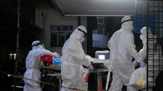 ΠΟΥ: Οι πιθανότητες για νέα πανδημία λόγω του θανατηφόρο ιού Nipah - Έχει προκαλέσει συναγερμό στην Ασία