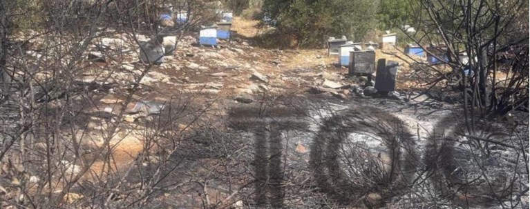 ΦΩΤΙΑ ΠΟΛΥΤΕΧΝΕΙΟΥΠΟΛΗ