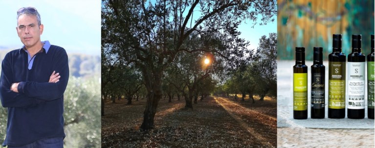 Ελαιώνες Σακελλαρόπουλου