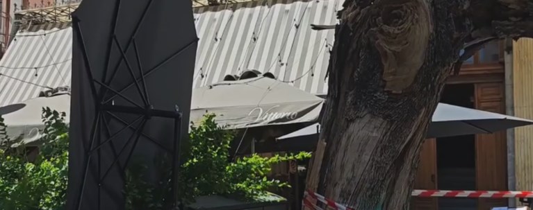 ΔΕΝΤΡΟ ΠΛΑΤΕΙΑ ΑΓΙΑΣ ΕΙΡΗΝΗΣ