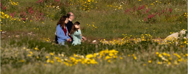 ΚΑΙΡΟΣ ΑΝΟΙΞΗ