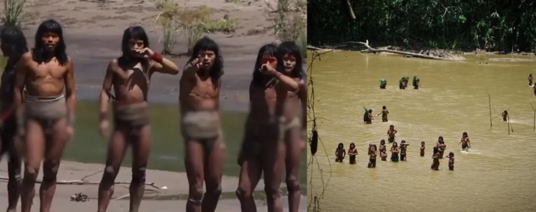 ΑΜΑΖΟΝΙΟΣ ΑΠΟΜΟΝΩΜΕΝΗ ΦΥΛΗ