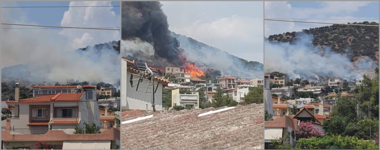 Λούτσα