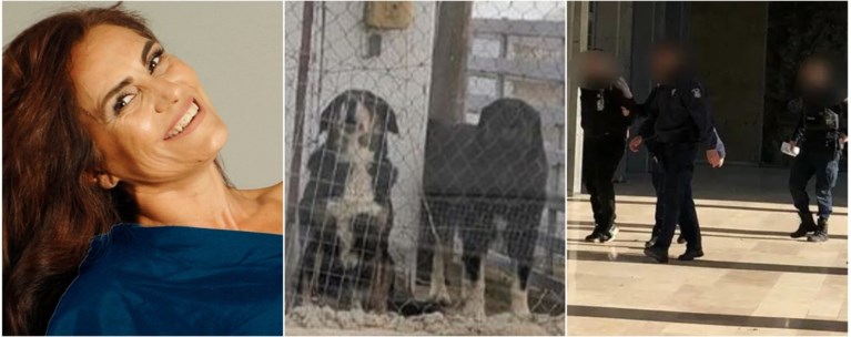 ΕΛΙΣΣΑΒΕΤ ΣΚΥΛΙΑ ΘΕΣΣΑΛΟΝΙΚΗ