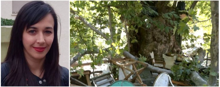 ΠΛΑΤΑΝΟΣ ΛΙΤΟΧΩΡΟ
