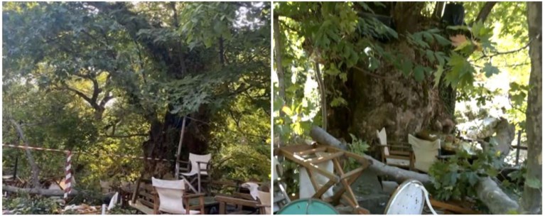ΠΛΑΤΑΝΟΣ ΛΙΤΟΧΩΡΟ
