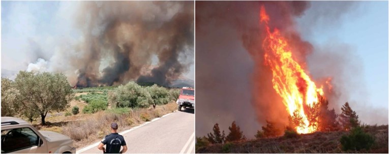 ΦΩΤΙΑ ΡΟΔΟΣ