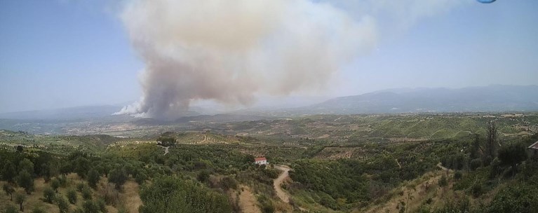 Φωτιά στην Ηλεία