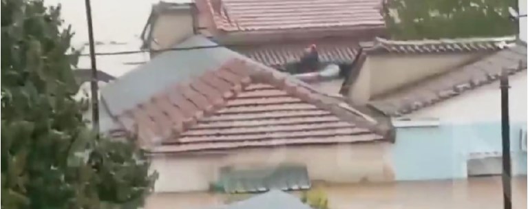 ΚΑΡΔΙΤΣΑ