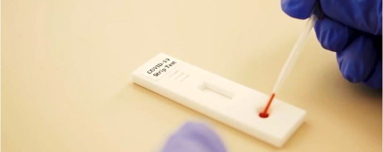 rapid test