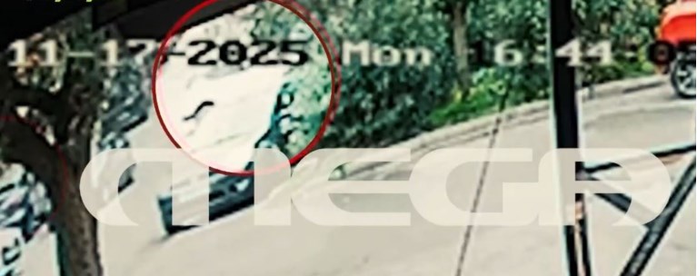 ΝΕΟΣ ΚΟΣΜΟΣ