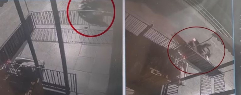 Γυναικοκτονία Αγίοι Αναργυροι