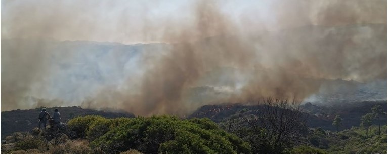 φωτια ροδος