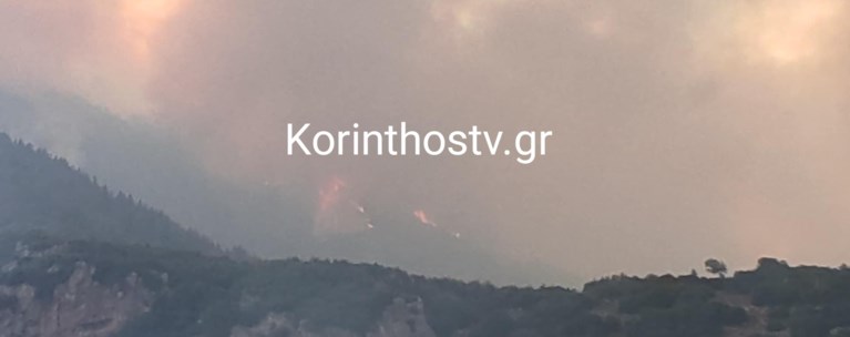 δ
