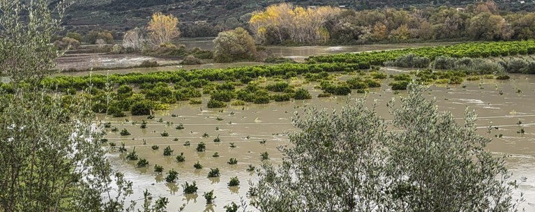 ΛΙΜΝΗ ΚΑΛΑΜΑΣ
