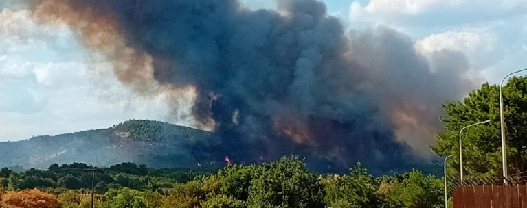 φωτια εβροσ