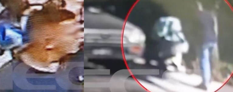 ΑΡΠΑΓΗ ΒΡΕΦΟΥΣ ΚΑΜΙΝΙΑ