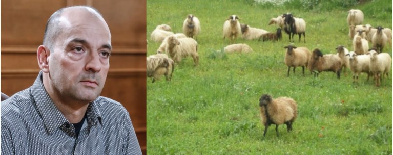 ΚΑΤΑΘΕΣΗ ΜΑΓΕΙΡΙΑΣ ΟΠΕΚΕΠΕ