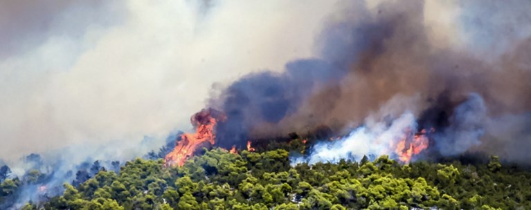 Φωτιά στην Εύβοια