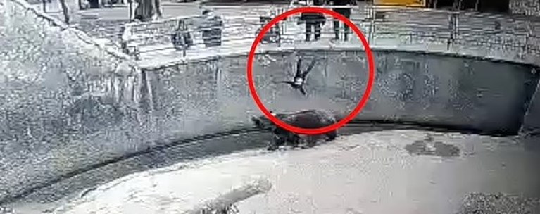 Ουζμπεκιστάν αρκούδα παιδί
