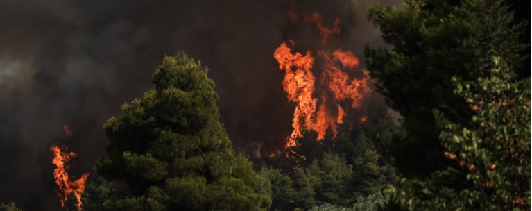 Φωτιά στην Εύβοια