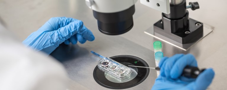 εξωσωματικη