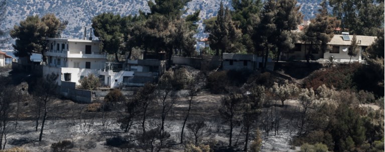 Σχίνος