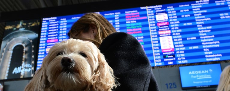 αεροδρομιο