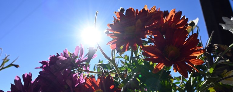 ΚΑΙΡΟΣ ΗΛΙΟΦΑΝΕΙΑ